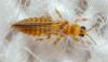 321591 – Photo : André Burgers – Espagne